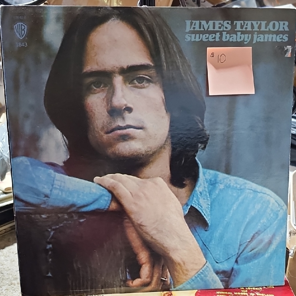 V4. Warner Bros. James Taylor Sweet Baby James Vinyl - Blue and Brown